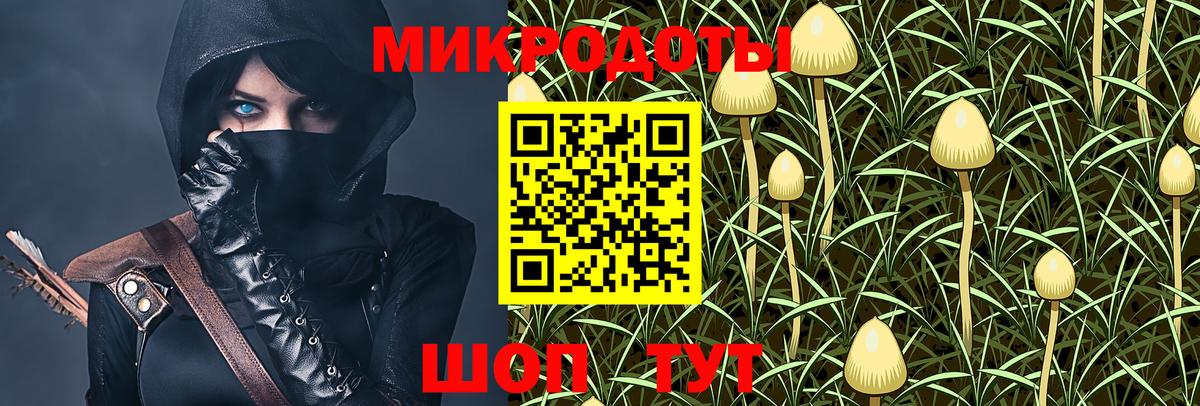 Псилоцибиновые грибы мицелий  купить наркоту  Каменск-Шахтинский  Вход с VPN 
