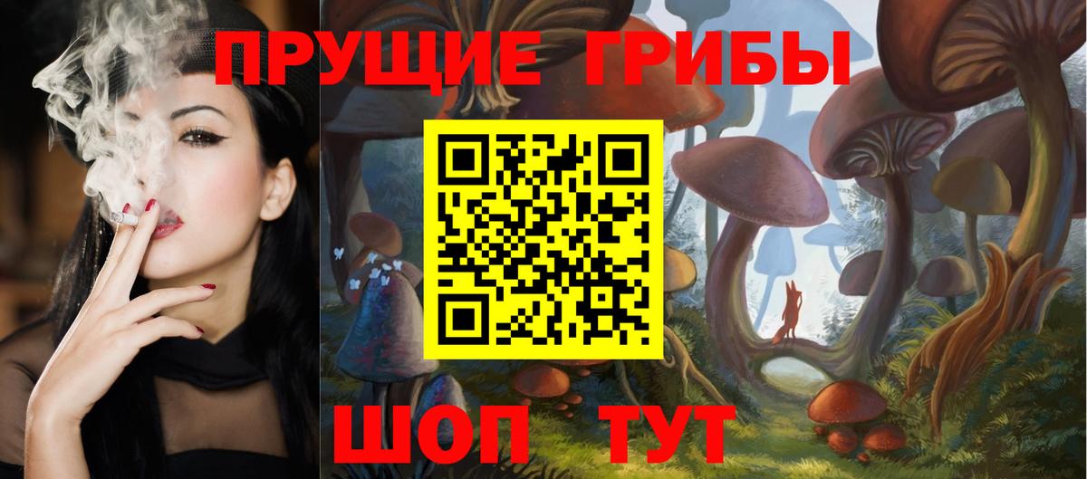Псилоцибиновые грибы MAGIC MUSHROOMS Каменск-Шахтинский